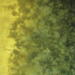Olive green hand dyed quilting cotton gradient
